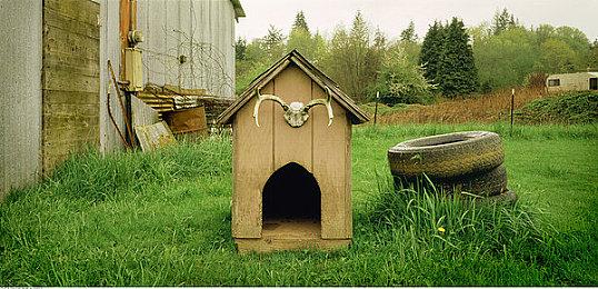 逐梦娱乐圈！《名利游戏》现已登陆主机平台！